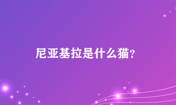 尼亚基拉是什么猫？