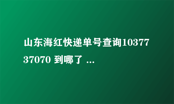 山东海红快递单号查询1037737070 到哪了 怎么查不到