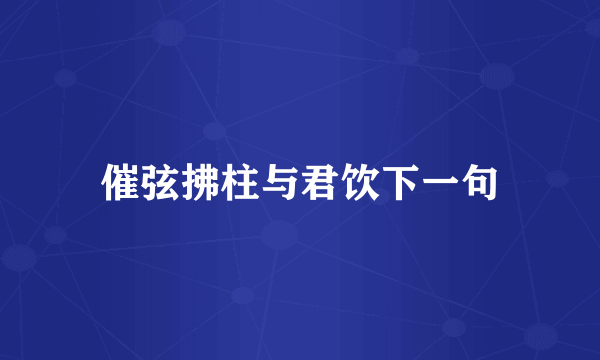 催弦拂柱与君饮下一句