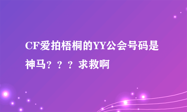 CF爱拍梧桐的YY公会号码是神马？？？求救啊