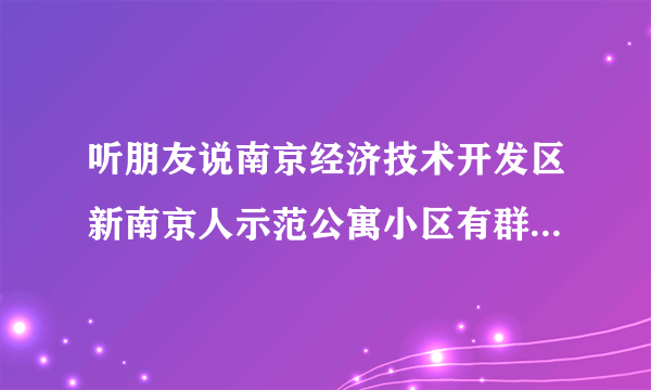 听朋友说南京经济技术开发区新南京人示范公寓小区有群租房？居住起来会不会感觉人员混杂比较乱？