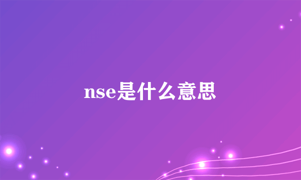 nse是什么意思