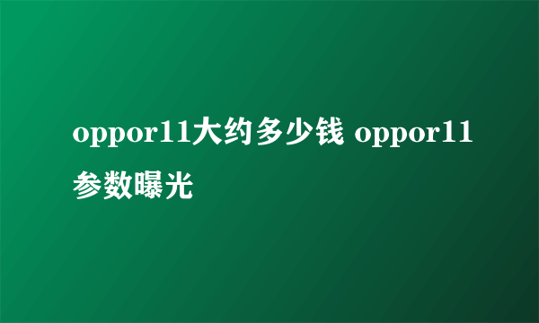 oppor11大约多少钱 oppor11参数曝光