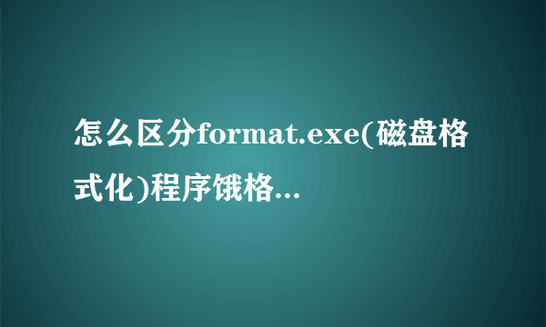 怎么区分format.exe(磁盘格式化)程序饿格式是fat32还是NTFS?