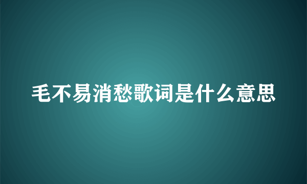 毛不易消愁歌词是什么意思