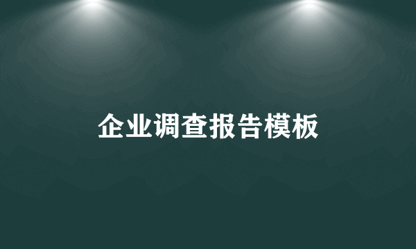 企业调查报告模板