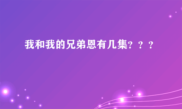 我和我的兄弟恩有几集？？？