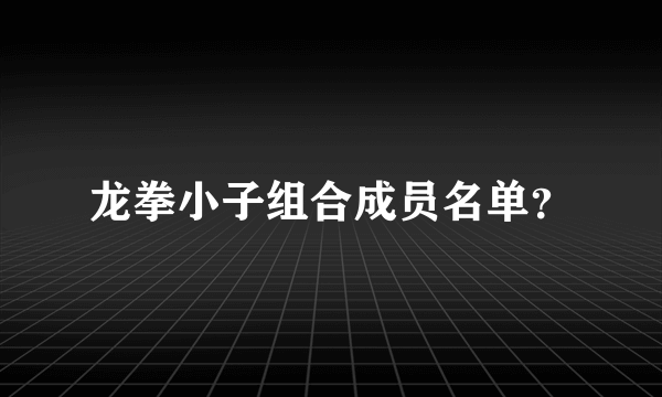 龙拳小子组合成员名单？