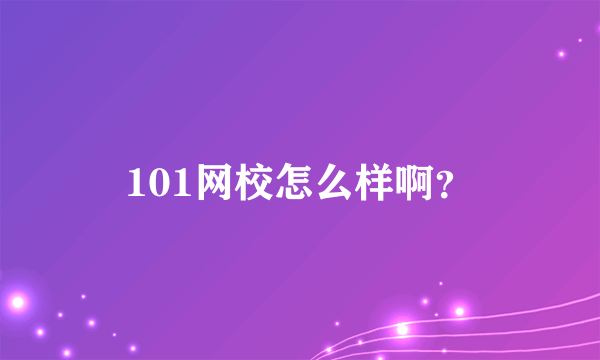 101网校怎么样啊？