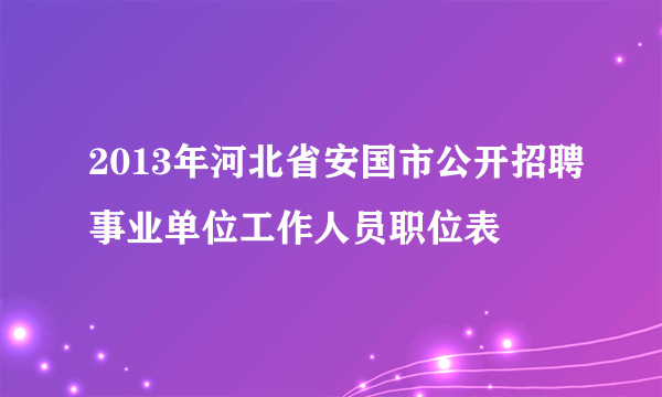 2013年河北省安国市公开招聘事业单位工作人员职位表