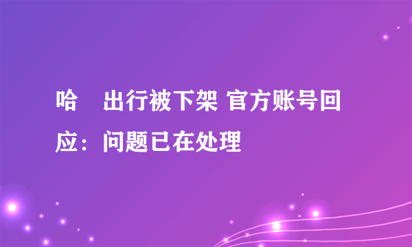 哈啰出行被下架 官方账号回应：问题已在处理