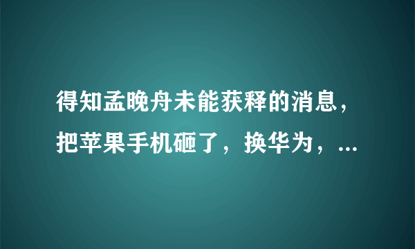 得知孟晚舟未能获释的消息，把苹果手机砸了，换华为，有啥推荐？