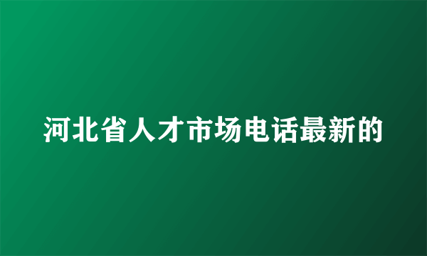 河北省人才市场电话最新的