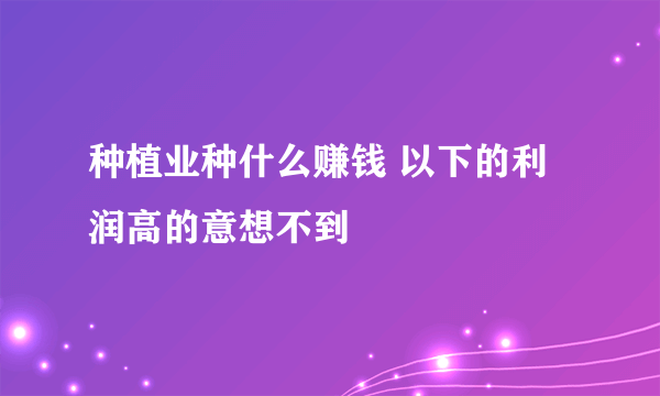 种植业种什么赚钱 以下的利润高的意想不到