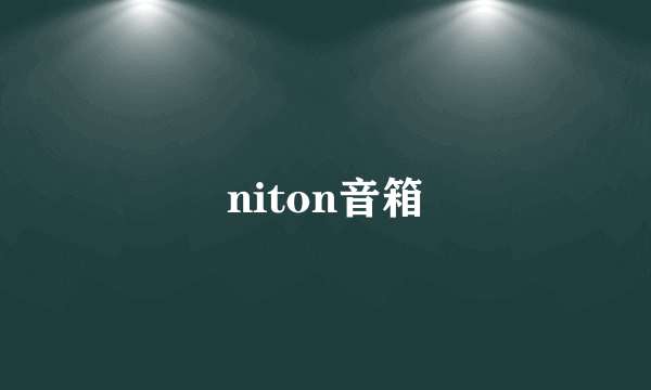 niton音箱