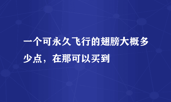 一个可永久飞行的翅膀大概多少点，在那可以买到