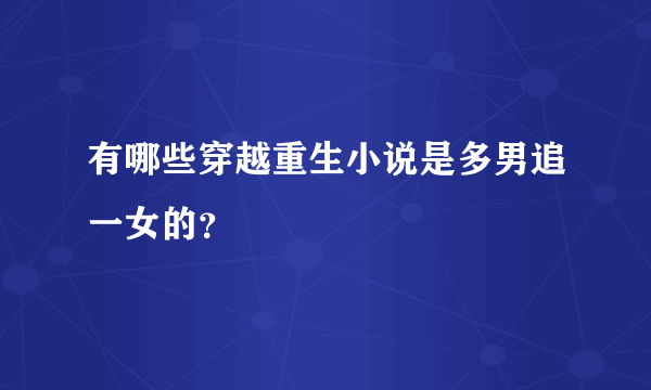 有哪些穿越重生小说是多男追一女的？