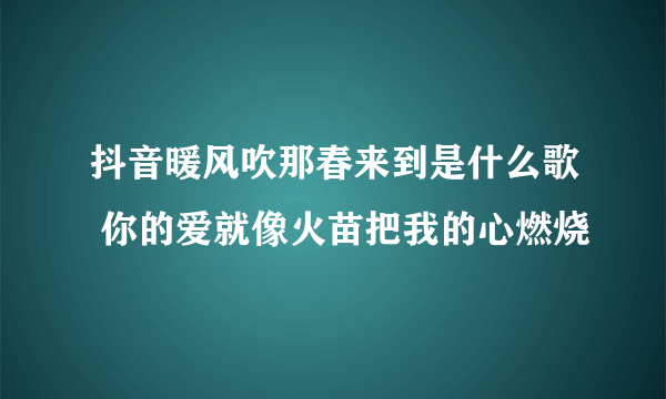 抖音暖风吹那春来到是什么歌 你的爱就像火苗把我的心燃烧