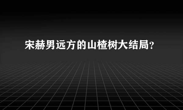 宋赫男远方的山楂树大结局？