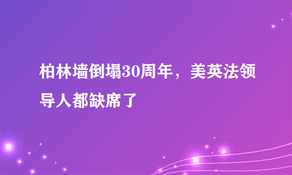 柏林墙倒塌30周年，美英法领导人都缺席了