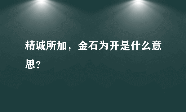 精诚所加，金石为开是什么意思？