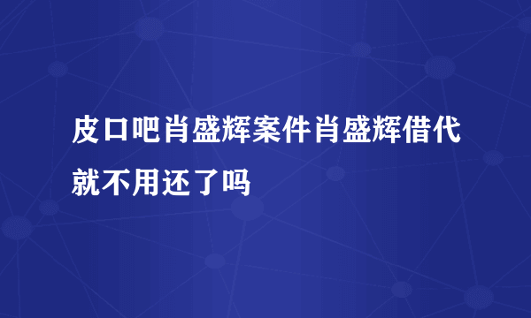 皮口吧肖盛辉案件肖盛辉借代就不用还了吗