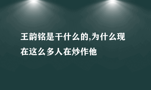 王韵铭是干什么的,为什么现在这么多人在炒作他