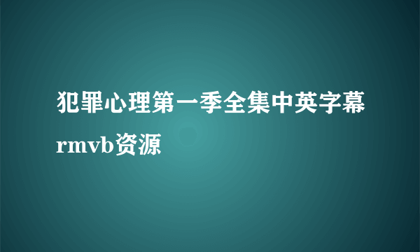 犯罪心理第一季全集中英字幕rmvb资源