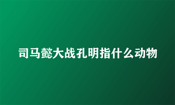 司马懿大战孔明指什么动物