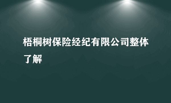 梧桐树保险经纪有限公司整体了解