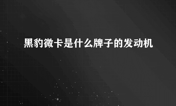 黑豹微卡是什么牌子的发动机