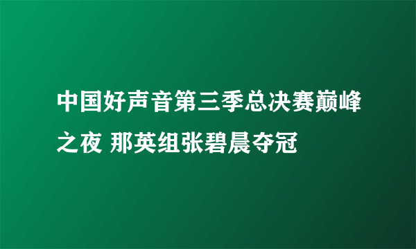 中国好声音第三季总决赛巅峰之夜 那英组张碧晨夺冠