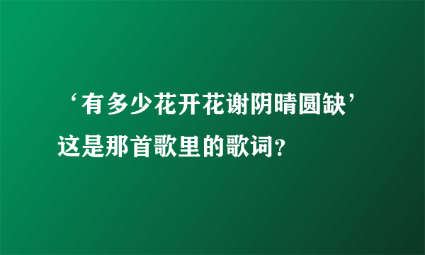 ‘有多少花开花谢阴晴圆缺’这是那首歌里的歌词？