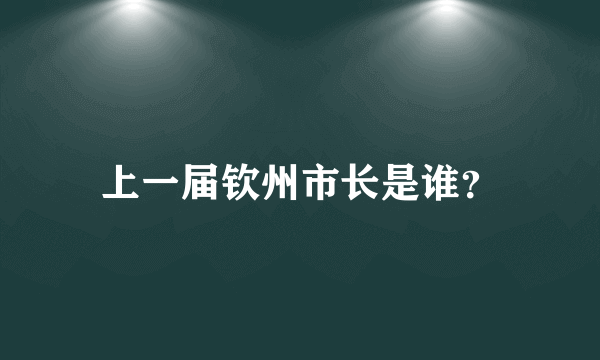 上一届钦州市长是谁？