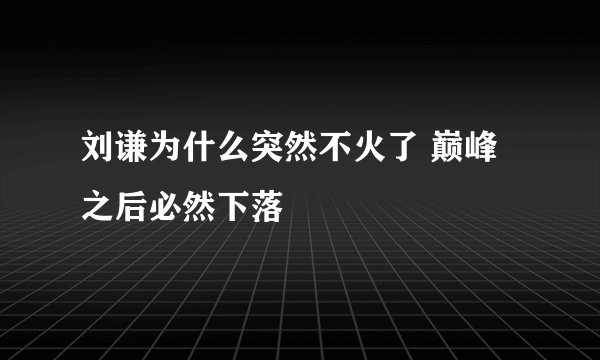 刘谦为什么突然不火了 巅峰之后必然下落