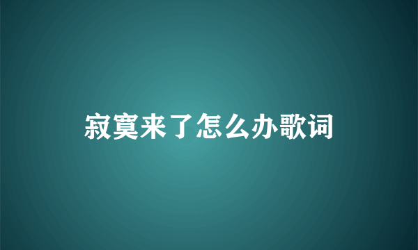 寂寞来了怎么办歌词