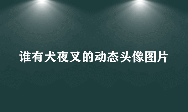 谁有犬夜叉的动态头像图片