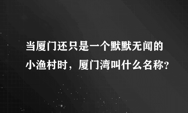 当厦门还只是一个默默无闻的小渔村时，厦门湾叫什么名称？