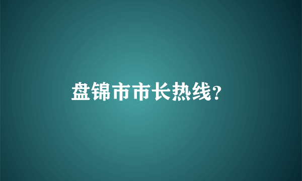 盘锦市市长热线？