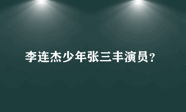 李连杰少年张三丰演员？