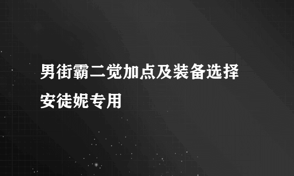 男街霸二觉加点及装备选择 安徒妮专用