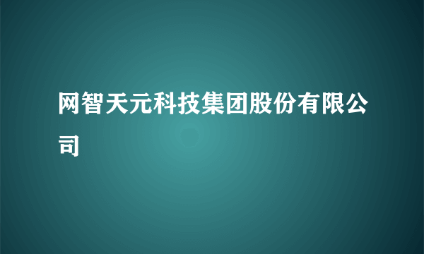 网智天元科技集团股份有限公司