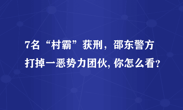 7名“村霸”获刑，邵东警方打掉一恶势力团伙, 你怎么看？