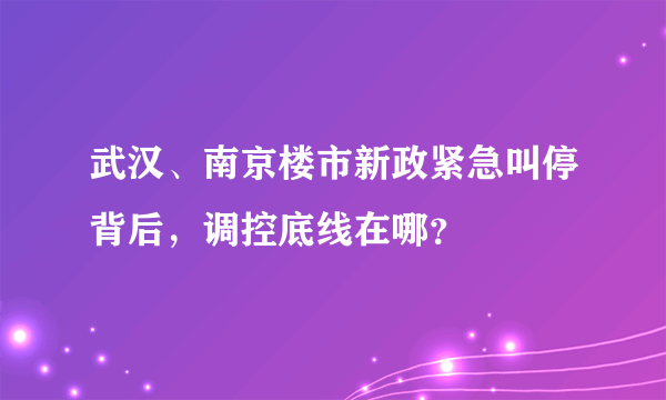 武汉、南京楼市新政紧急叫停背后，调控底线在哪？