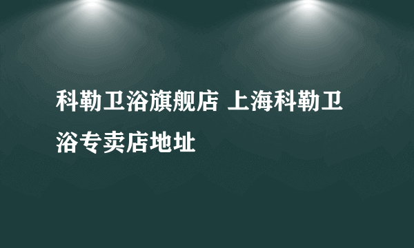 科勒卫浴旗舰店 上海科勒卫浴专卖店地址