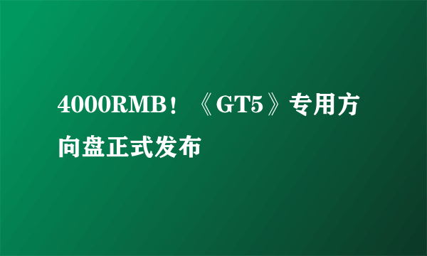 4000RMB！《GT5》专用方向盘正式发布