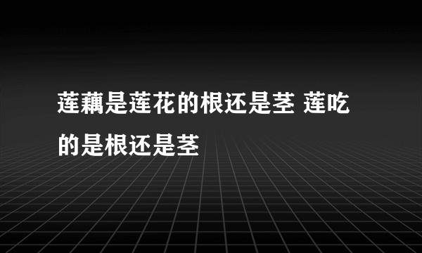 莲藕是莲花的根还是茎 莲吃的是根还是茎