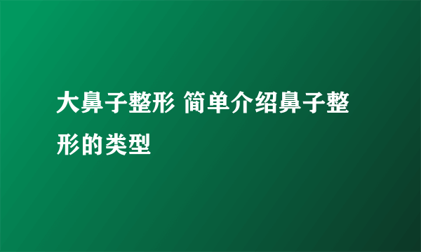 大鼻子整形 简单介绍鼻子整形的类型