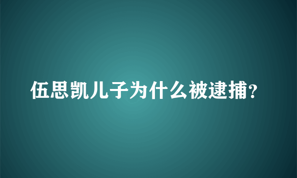 伍思凯儿子为什么被逮捕？