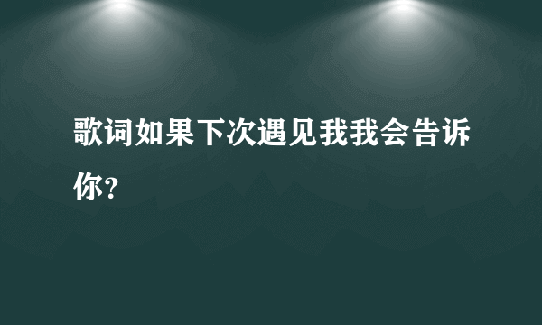 歌词如果下次遇见我我会告诉你？